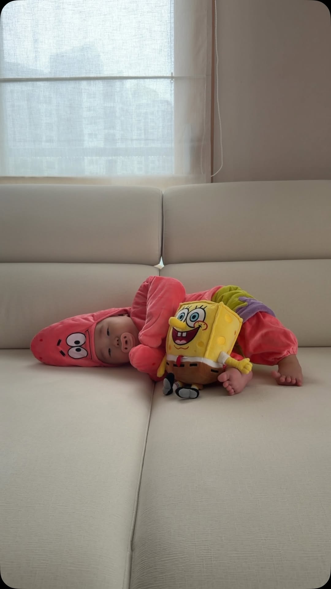 @about_reum이 올린 베니비디비치 태그 게시물