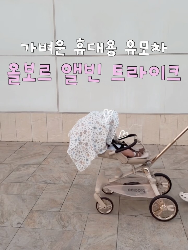 @jicong.zip이 올린 올보르 | 앨빈 트라이크 태그 게시물