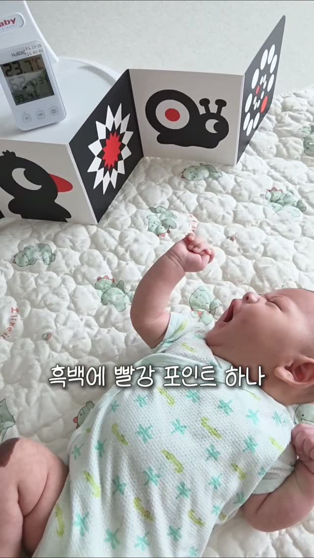 @ddanghome이 올린 Hattung® 하뚱 태그 게시물