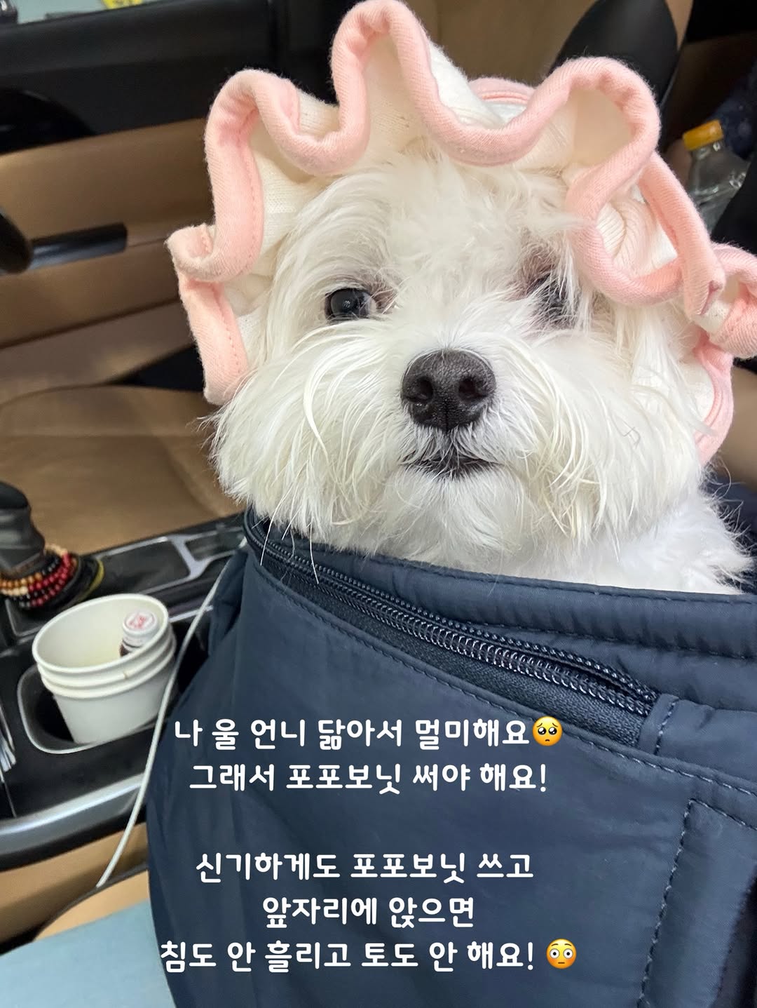 @sa_.lily_이 올린 포포캄 태그 게시물