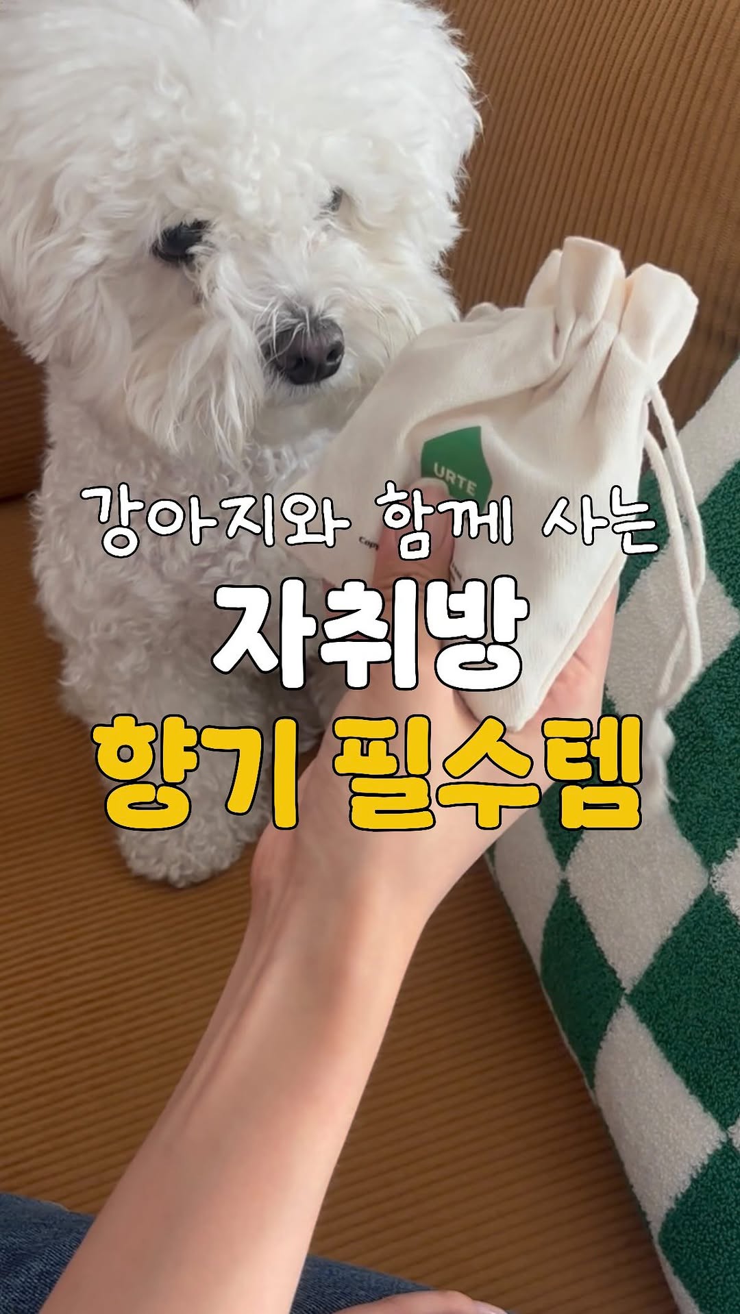 @mingdoong2000이 올린 유르테 태그 게시물