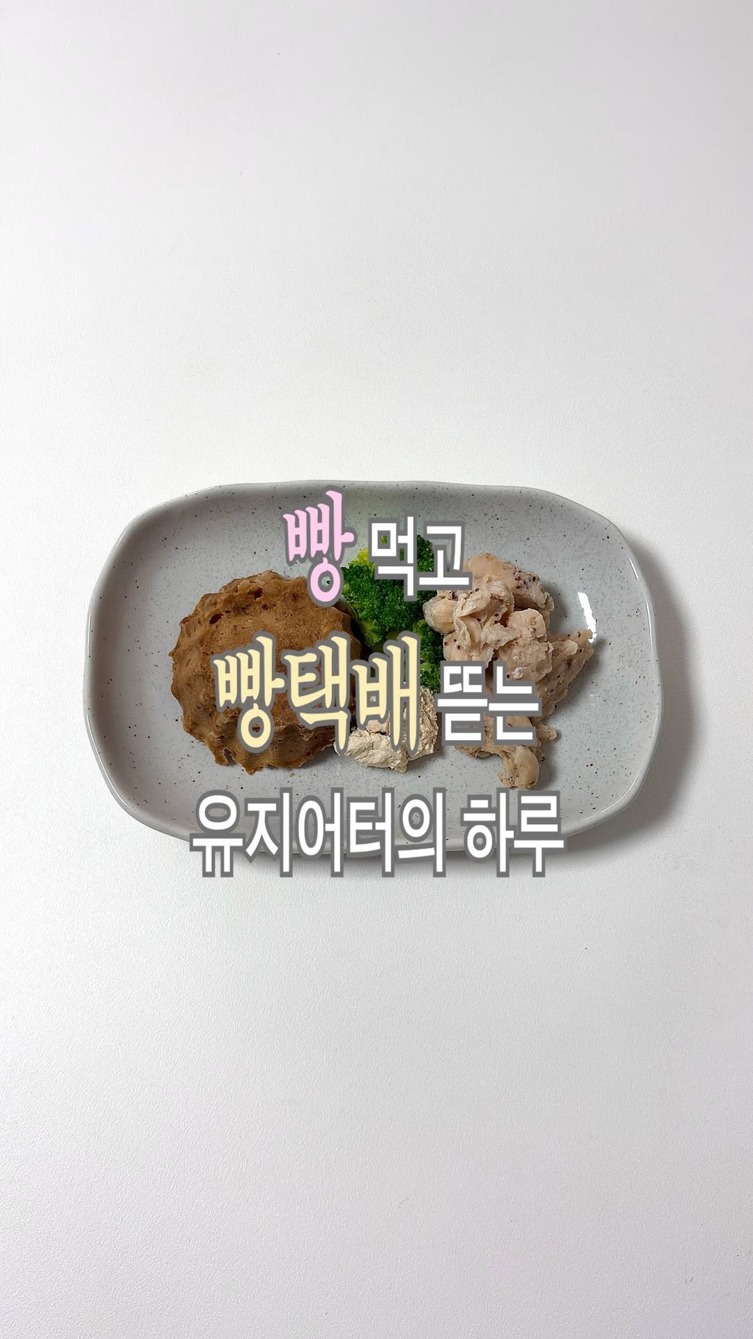 @ssongiet이 올린 볼비 태그 게시물