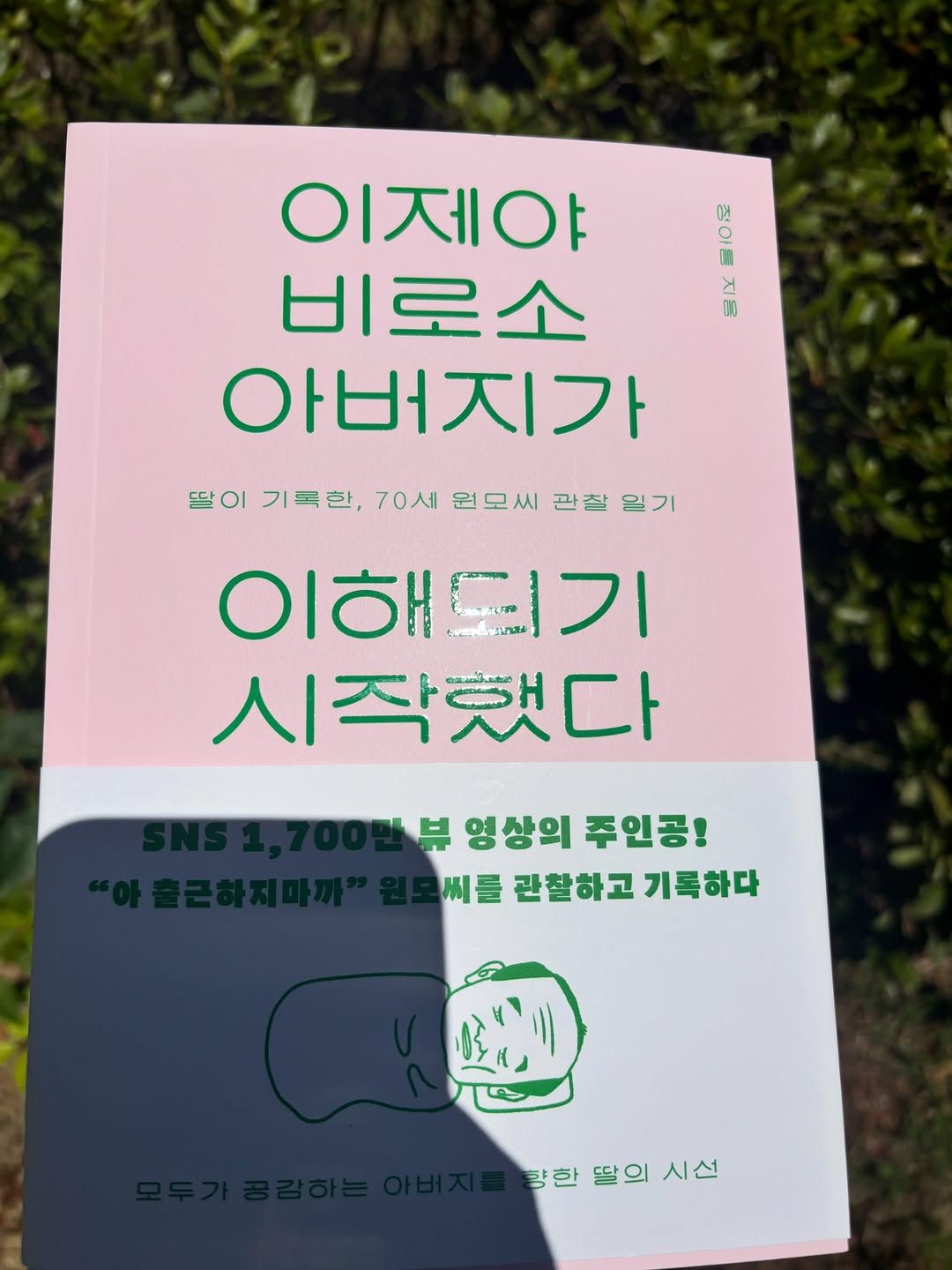 @cherryring89이 올린 모티브 인사이트 태그 게시물