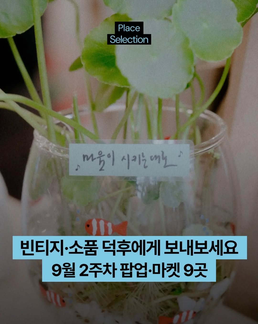 @yllo_selection이 올린 High Street Italia 태그 게시물