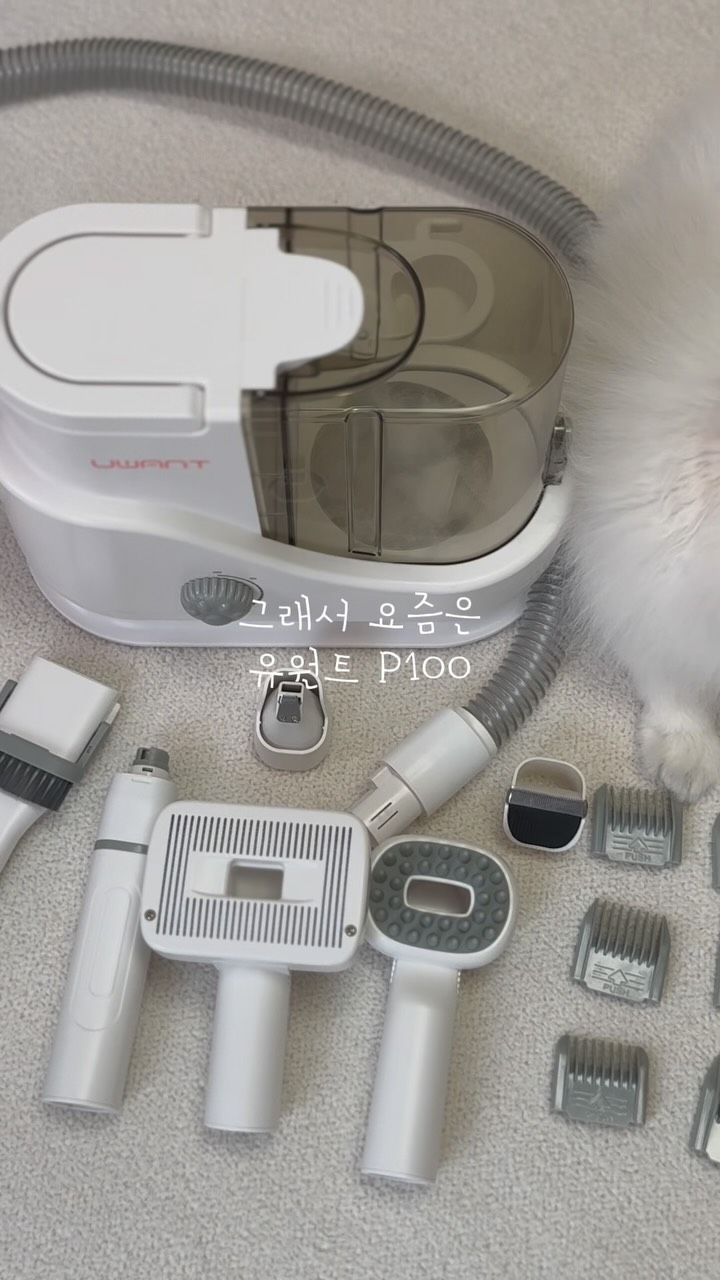 @whiterice_e이 올린 유원트 코리아 태그 게시물
