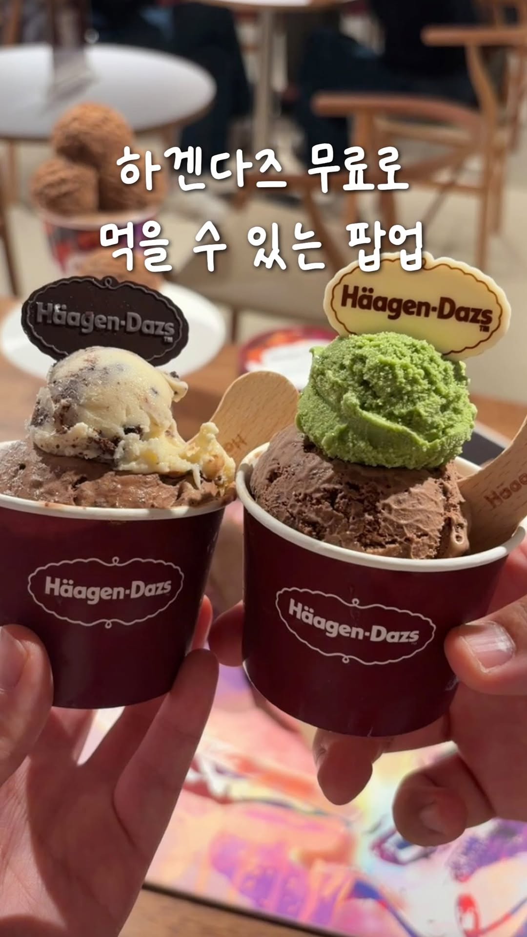 @suyoung_trip00이 올린 하겐다즈 코리아 태그 게시물