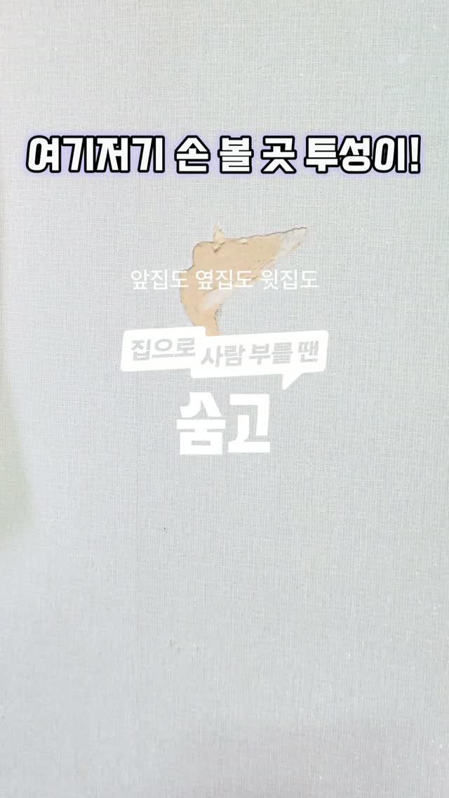 @smilejjoo이 올린 숨고 태그 게시물