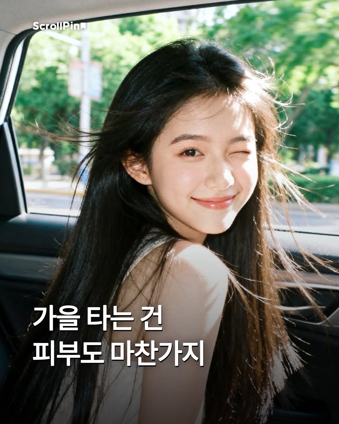@scrollpin이 올린 토리든 태그 게시물