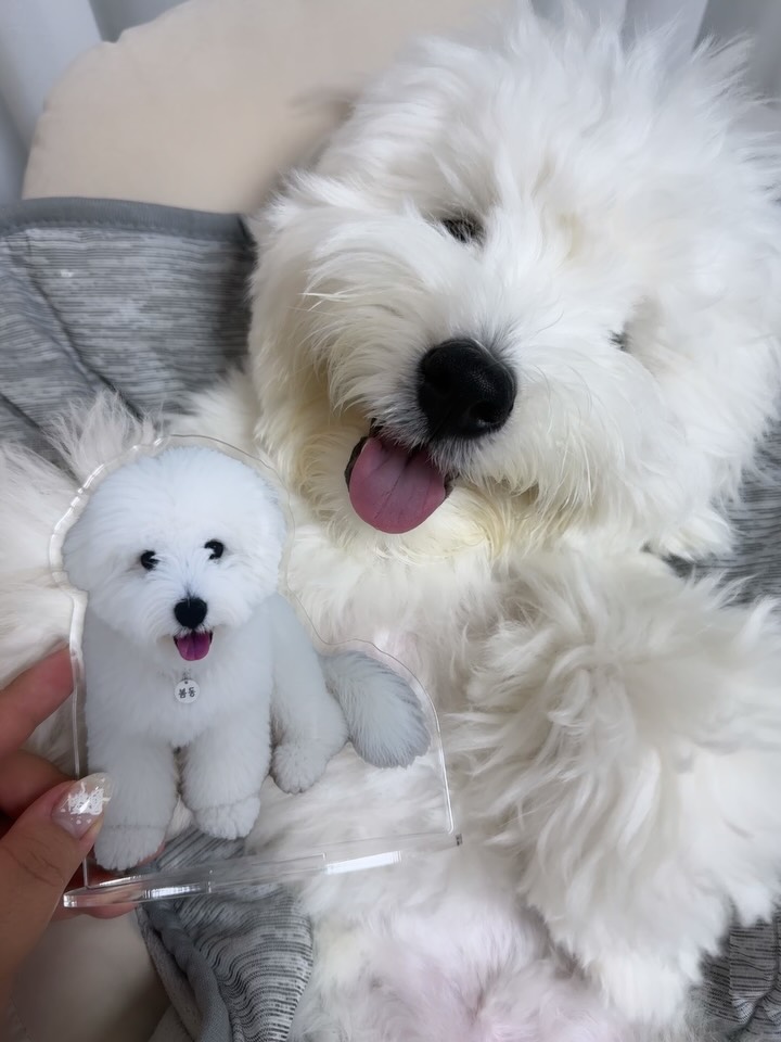 @ttuking_g이 올린 유메이크 태그 게시물