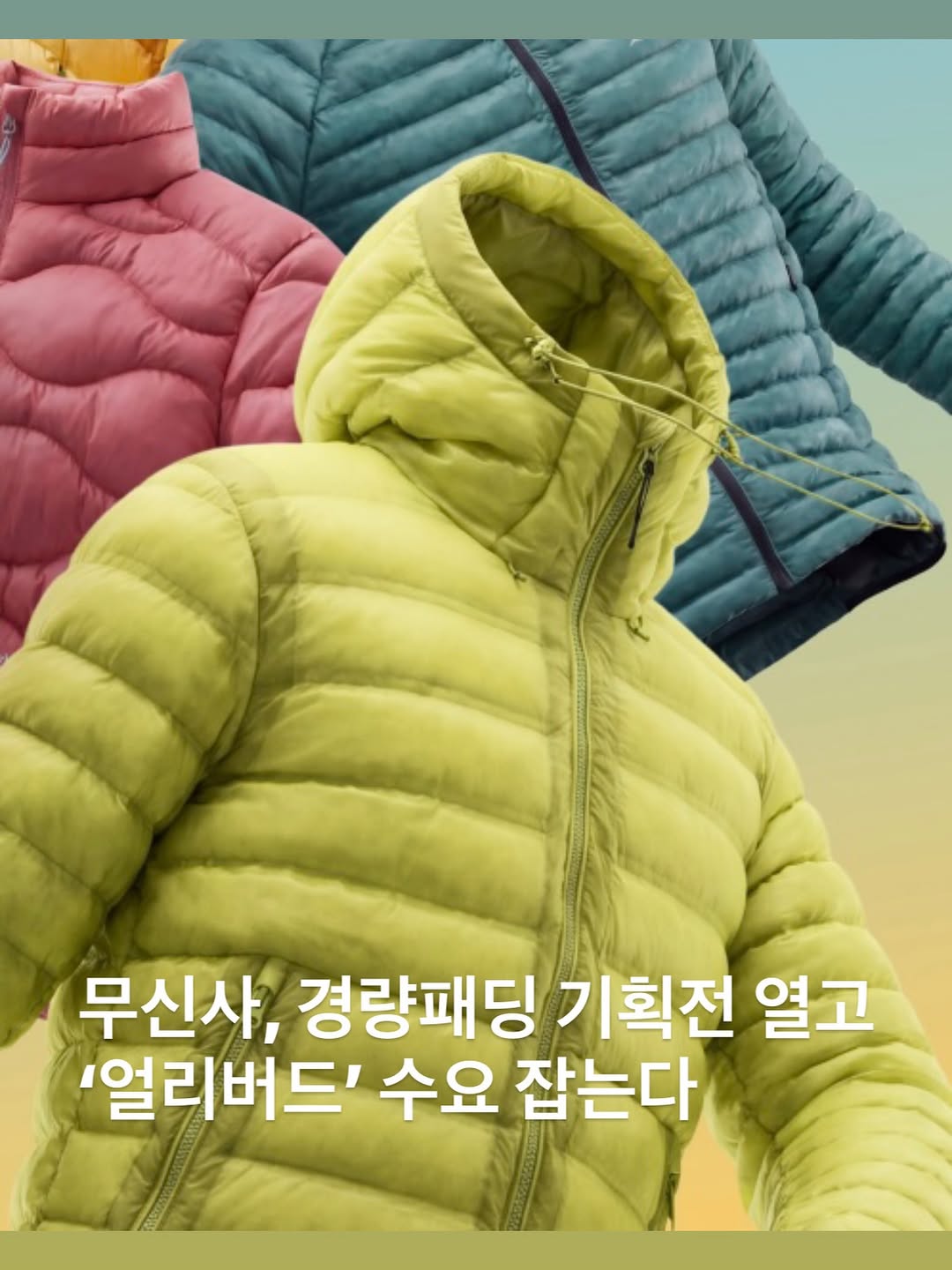 @fashioninsight_official이 올린 내셔널지오그래픽 어패럴 태그 게시물