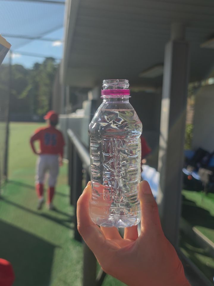 @redfox_wbaseball이 올린 몽베스트 태그 게시물
