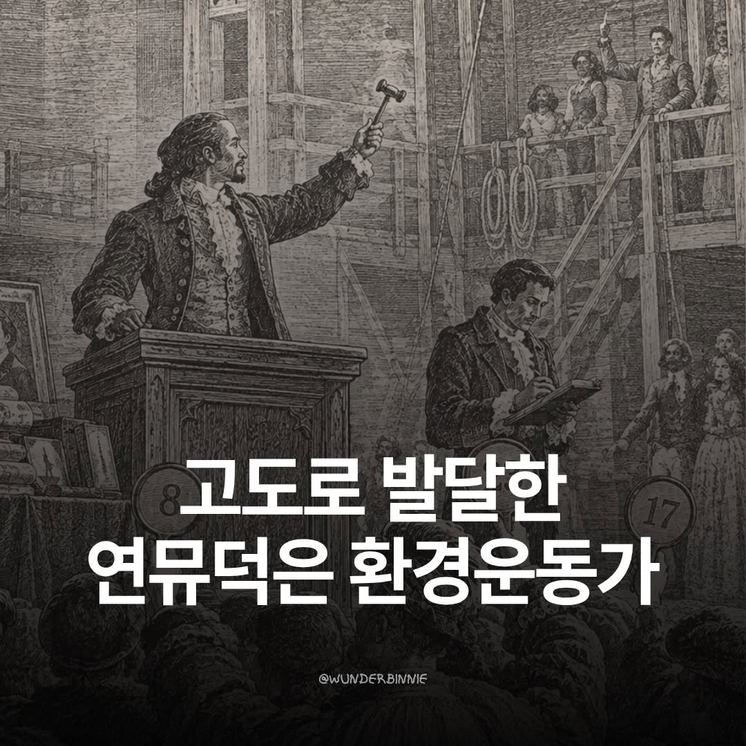 @wunderbinnie이 올린 황조교 태그 게시물