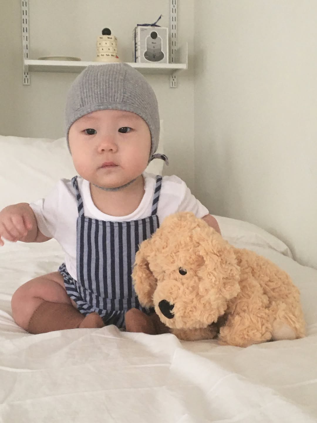 @dogyeom.log이 올린 워미스 태그 게시물