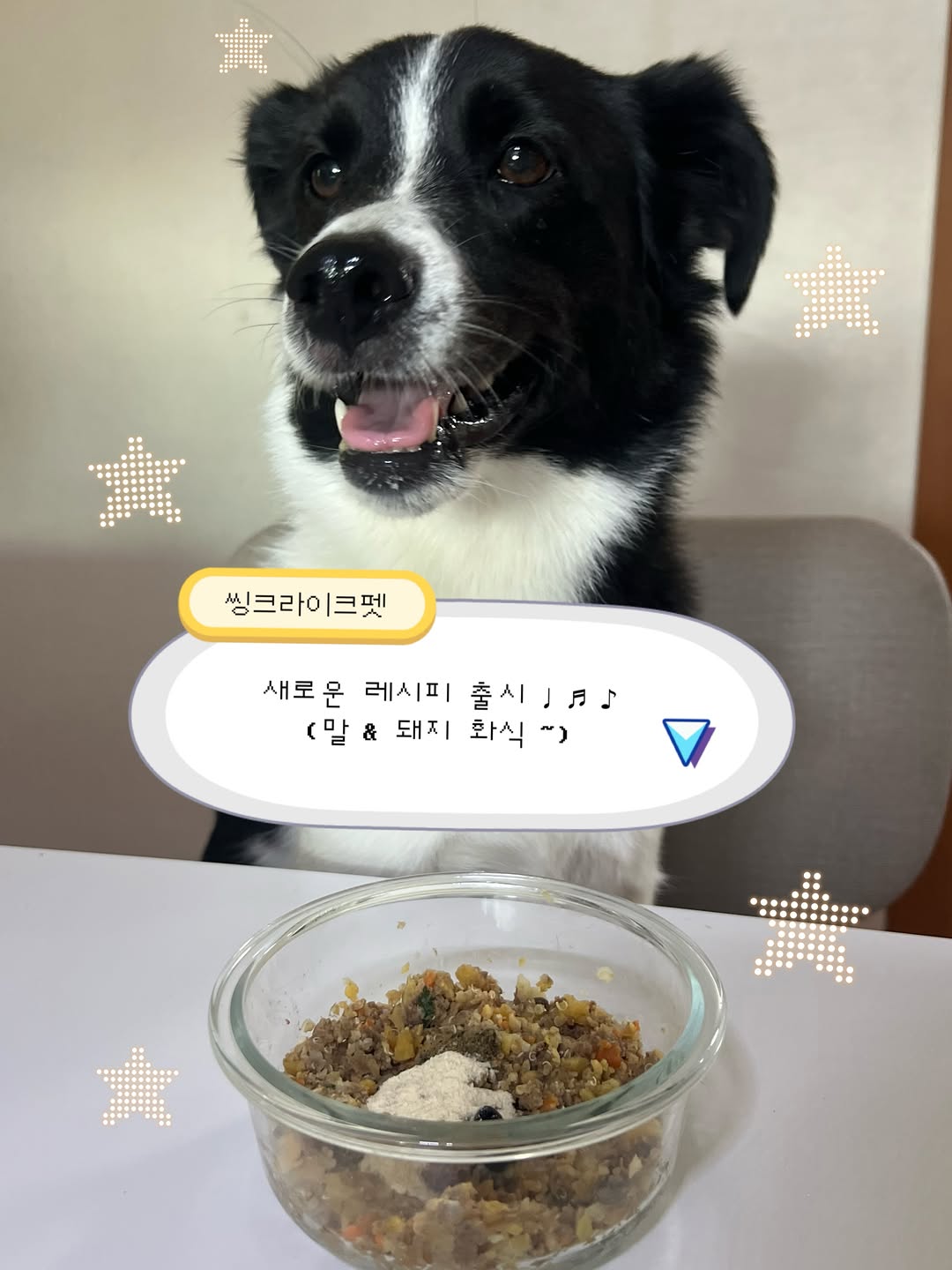 @_reo.world이 올린 씽크라이크펫 태그 게시물