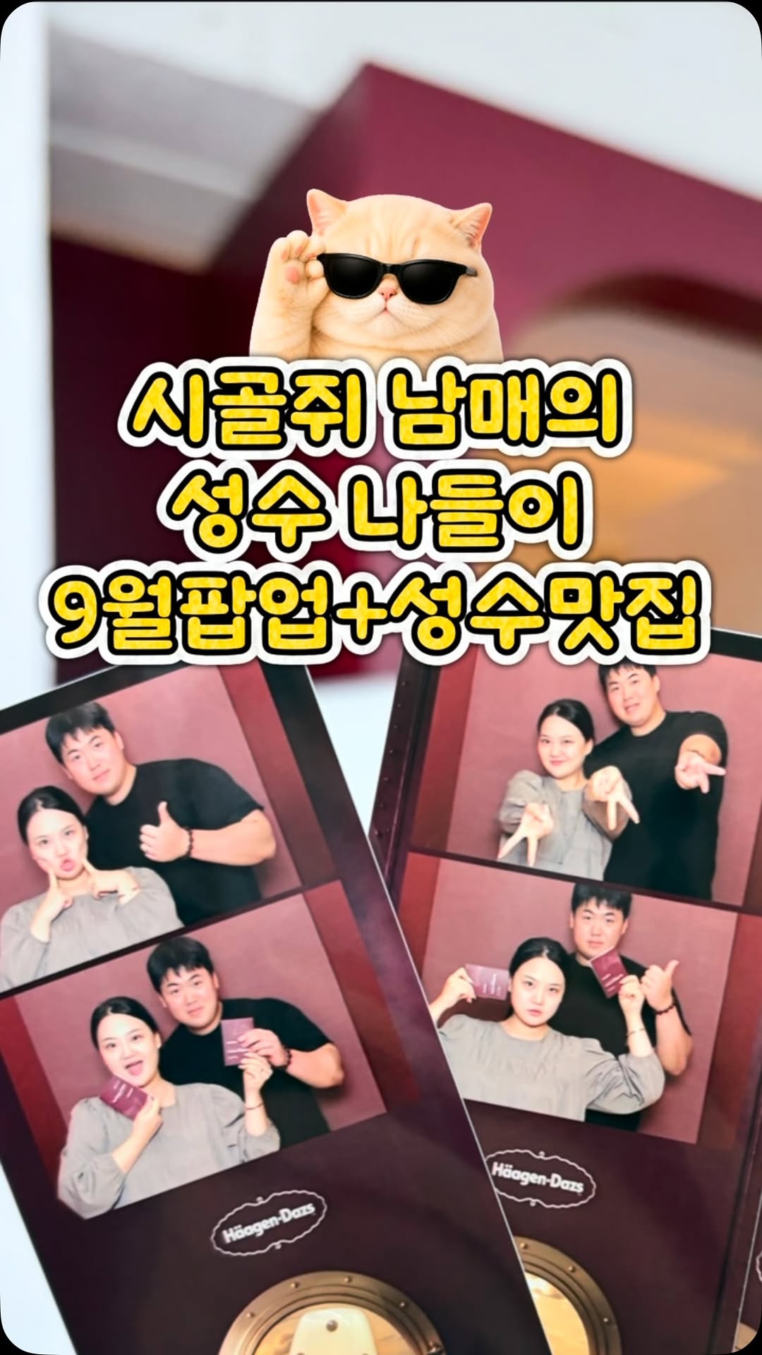 @zzuri_world이 올린 하겐다즈 코리아 태그 게시물