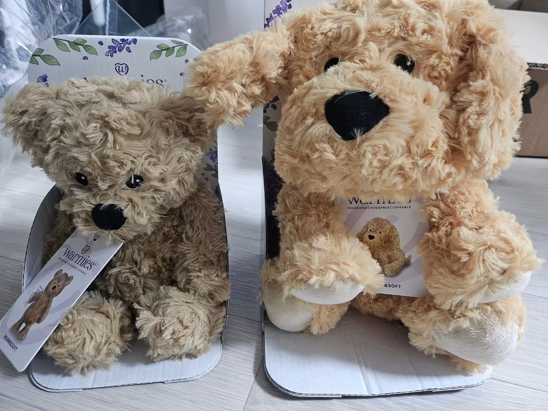 @si.woo_baby이 올린 워미스 태그 게시물