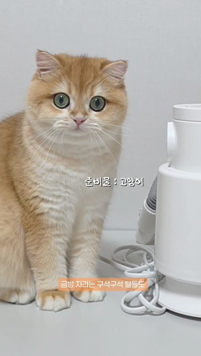 유원트 코리아 광고 소재