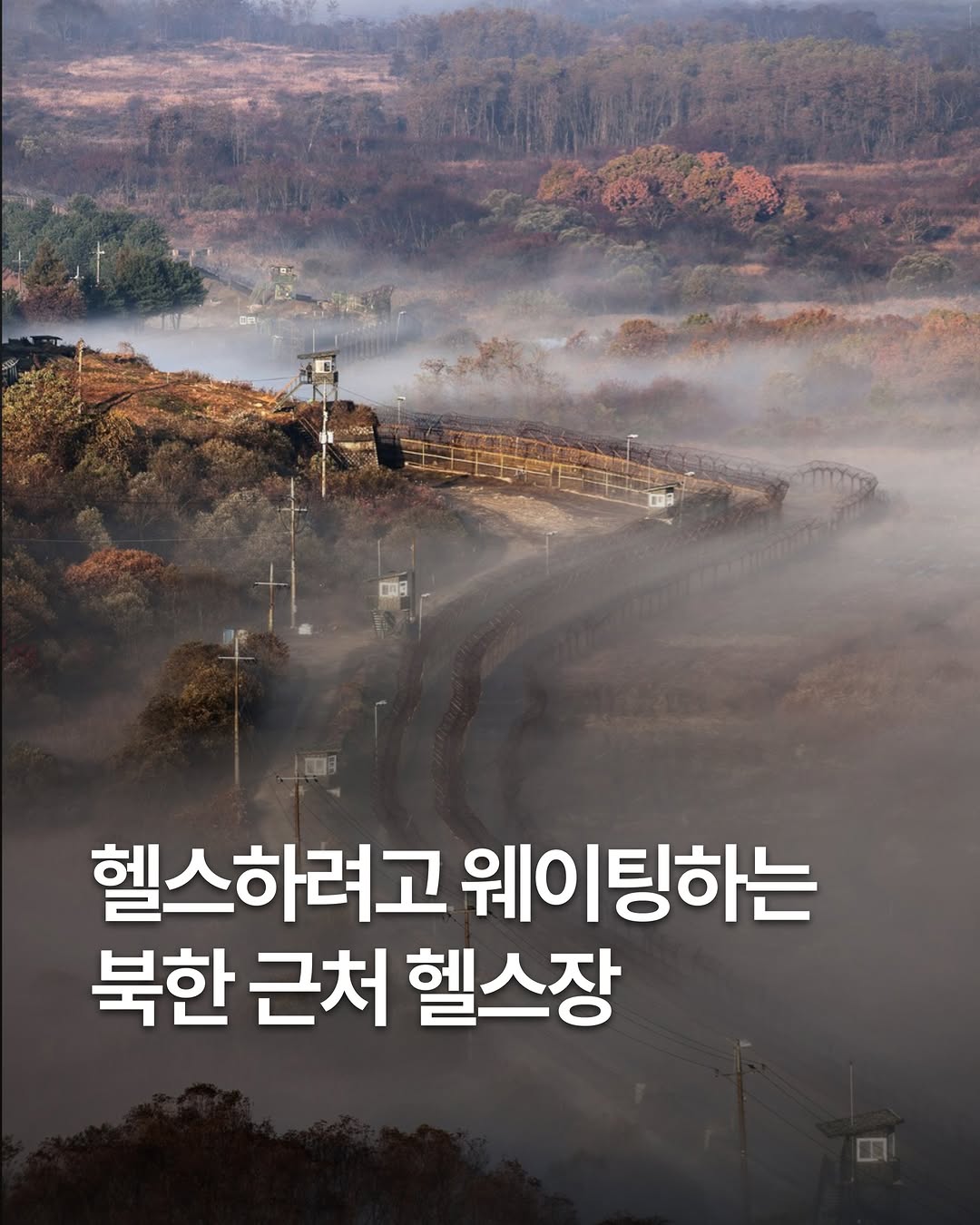 @buckledowngym.kr이 올린 헬스무브ㅣ건강 웰니스 매거진 태그 게시물
