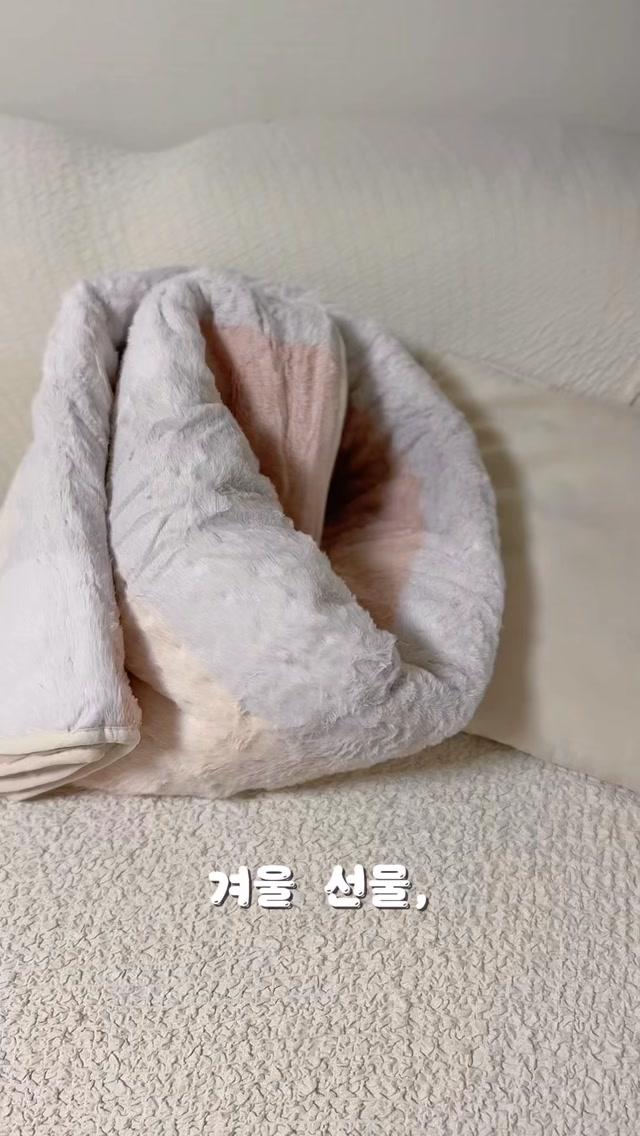 @mini4986이 올린 프롬비 태그 게시물