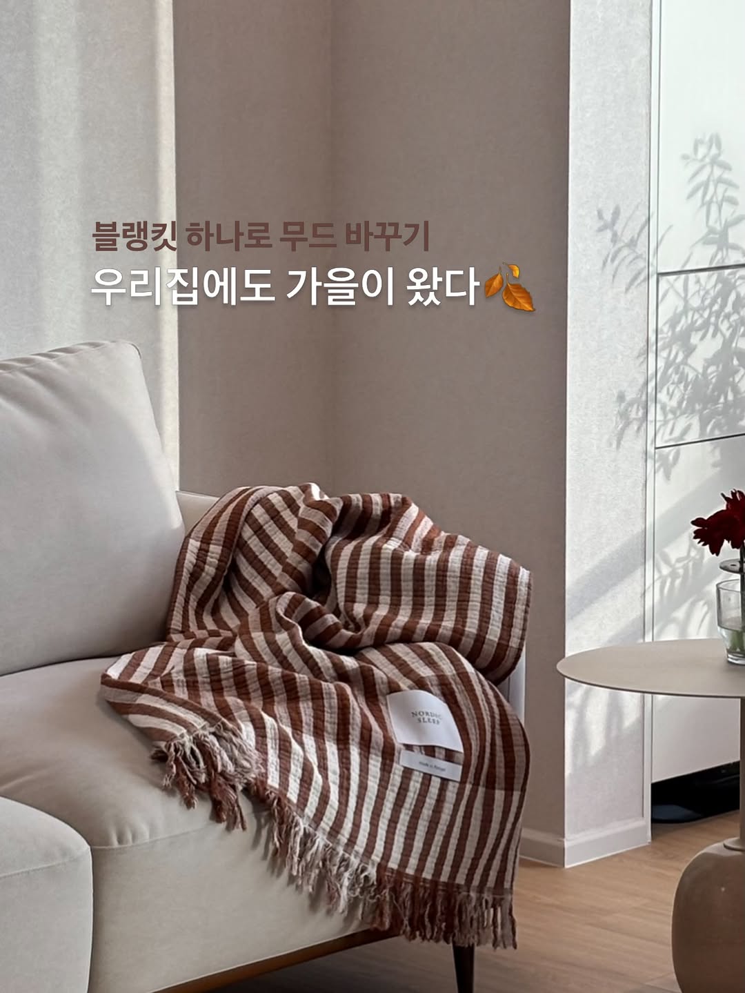 @marubuki.zip이 올린 노르딕슬립 태그 게시물