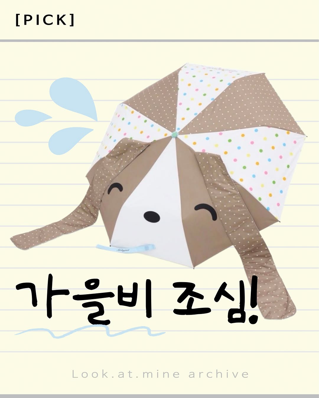 @look.at.mine이 올린 핀카 태그 게시물