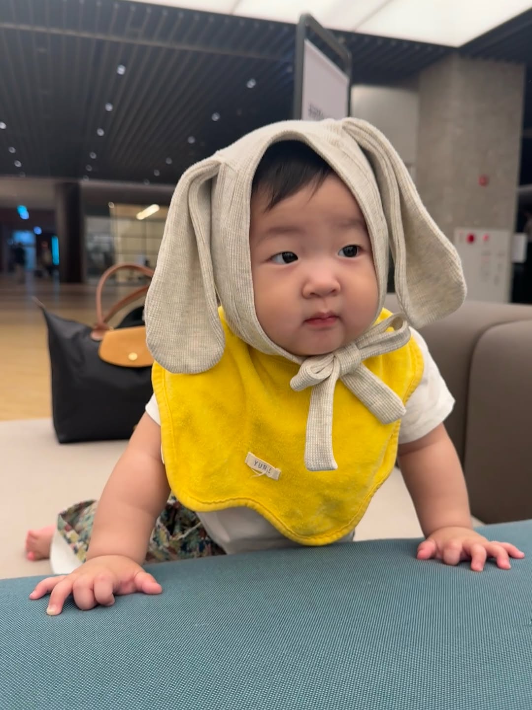 @bebequokka이 올린 YURE.CO.KR 태그 게시물