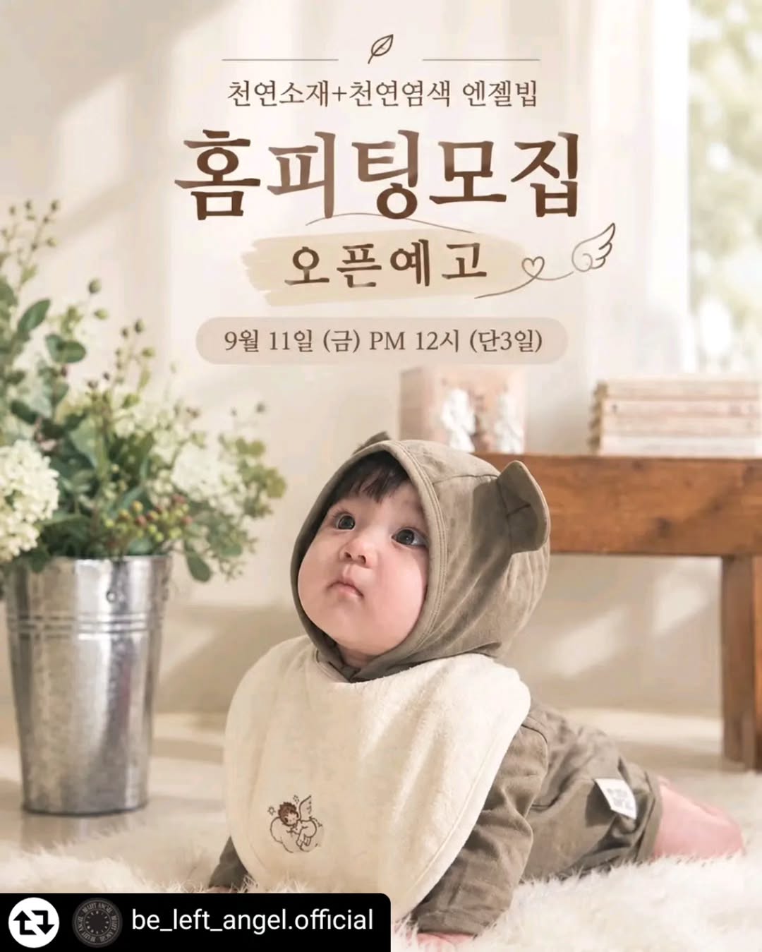 @periwinkle.days이 올린 비리프엔젤 태그 게시물
