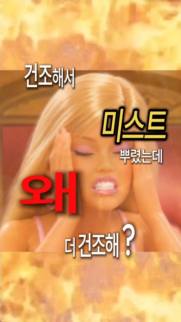 @monvanityy이 올린 코이터널 태그 게시물