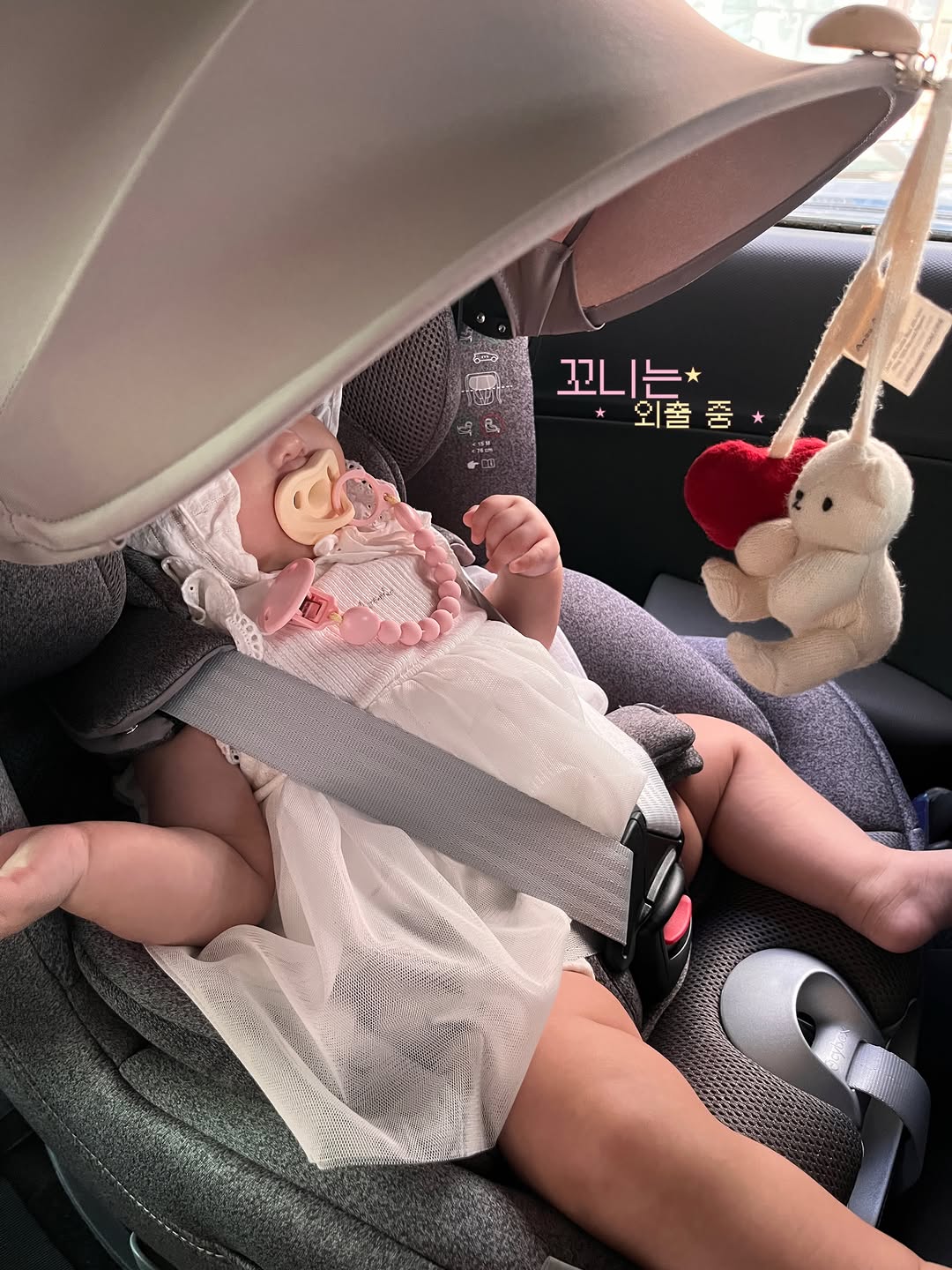 @parangkkoni이 올린 밍크뮤 태그 게시물