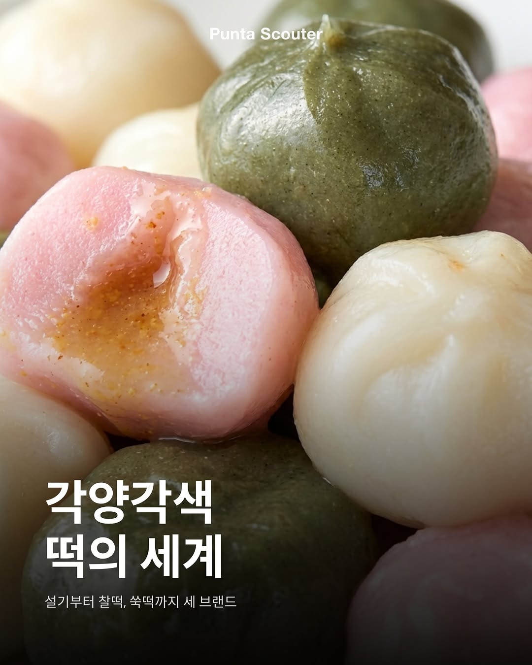 @punta.scouter이 올린 시루아네 태그 게시물