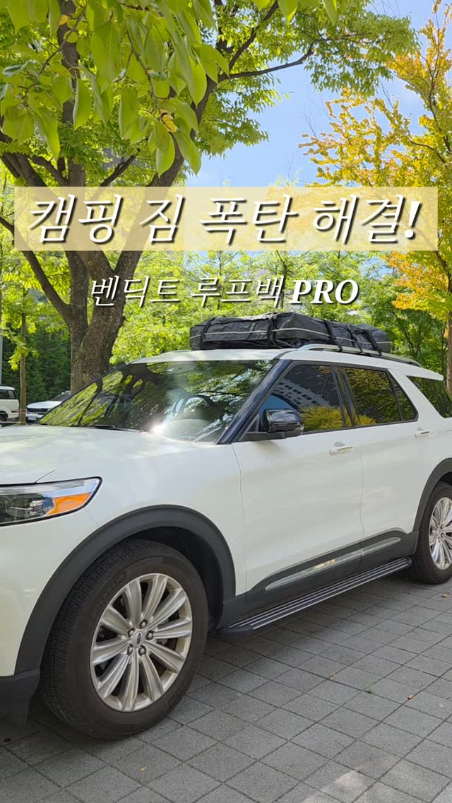 @w0nderlena이 올린 벤딕트 태그 게시물
