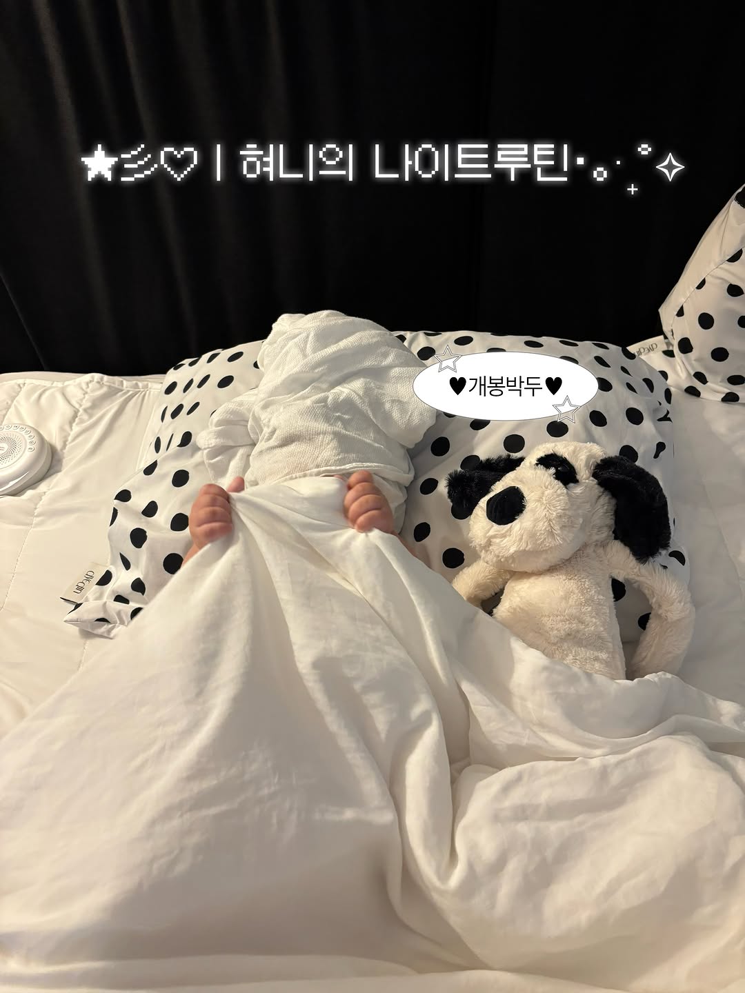 @p_ihyeon이 올린 프랭클린 태그 게시물
