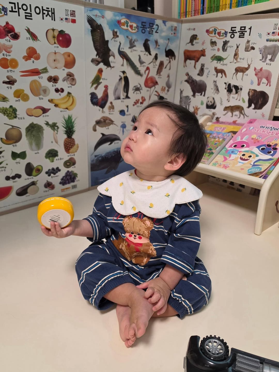 @_jiwaniwa이 올린 아토팜 ATOPALM 태그 게시물