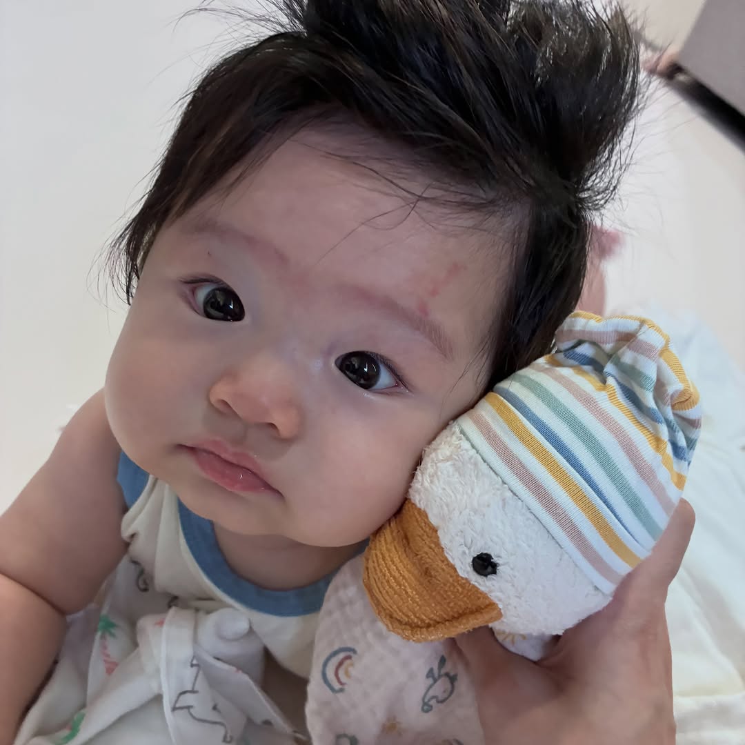 @k.ju_ping이 올린 슈테른탈러코리아 태그 게시물