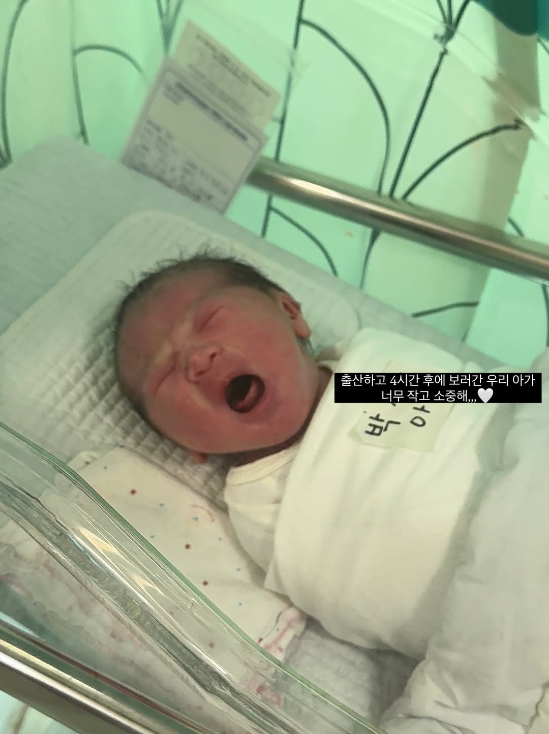 @earth._log이 올린 하기스 태그 게시물