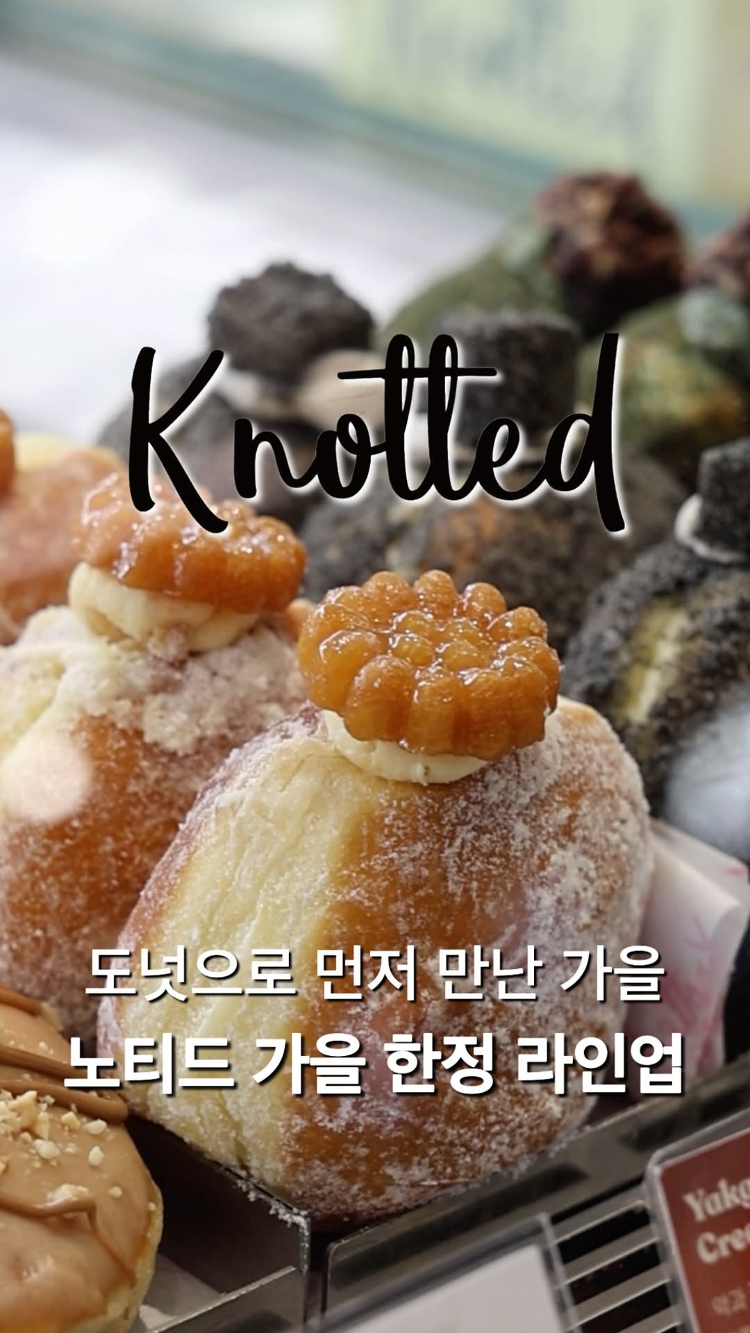 노티드 광고 소재