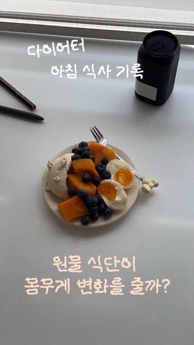 @jeyne.ee이 올린 볼비 태그 게시물