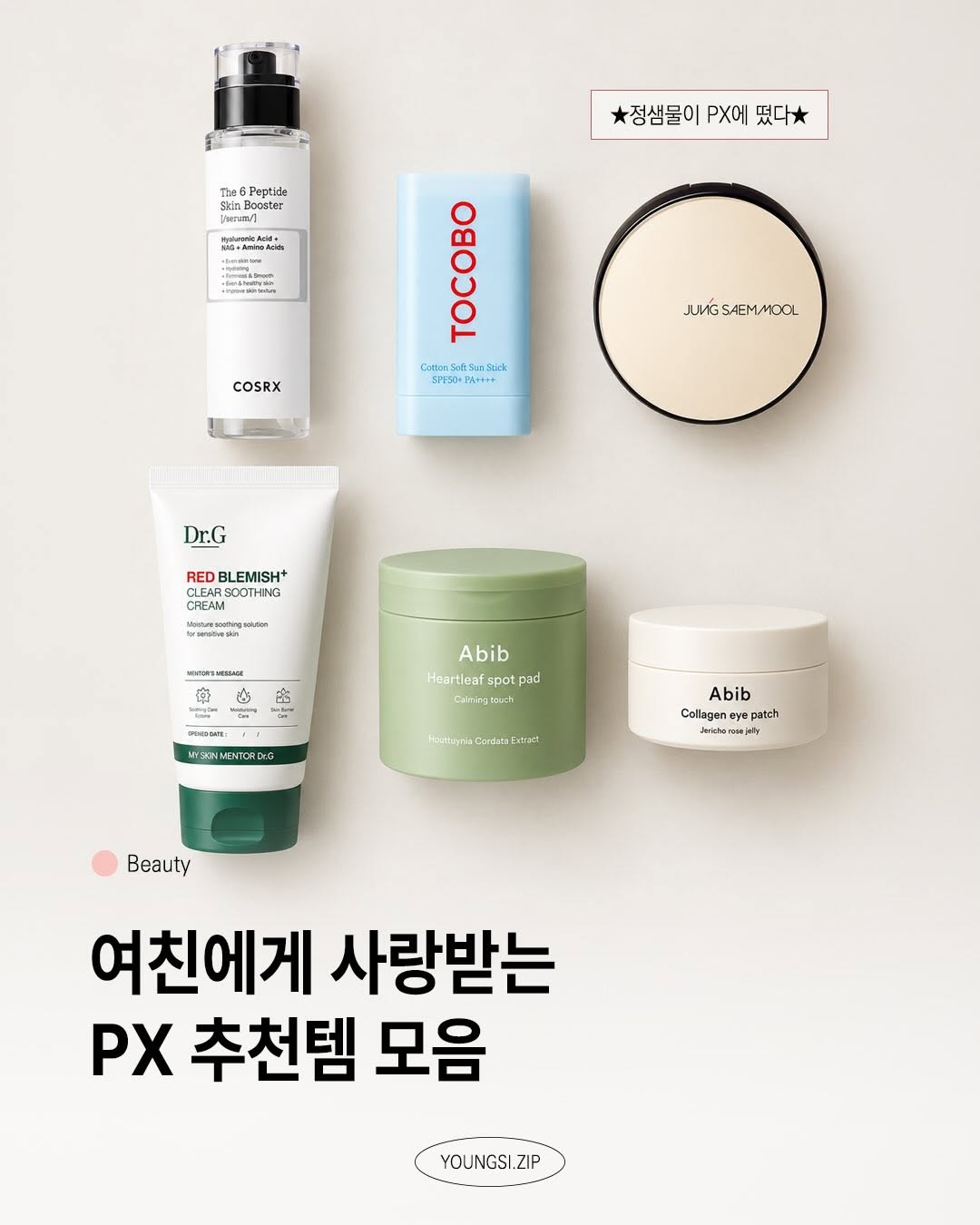 @youngsi.zip이 올린 토코보 TOCOBO 태그 게시물
