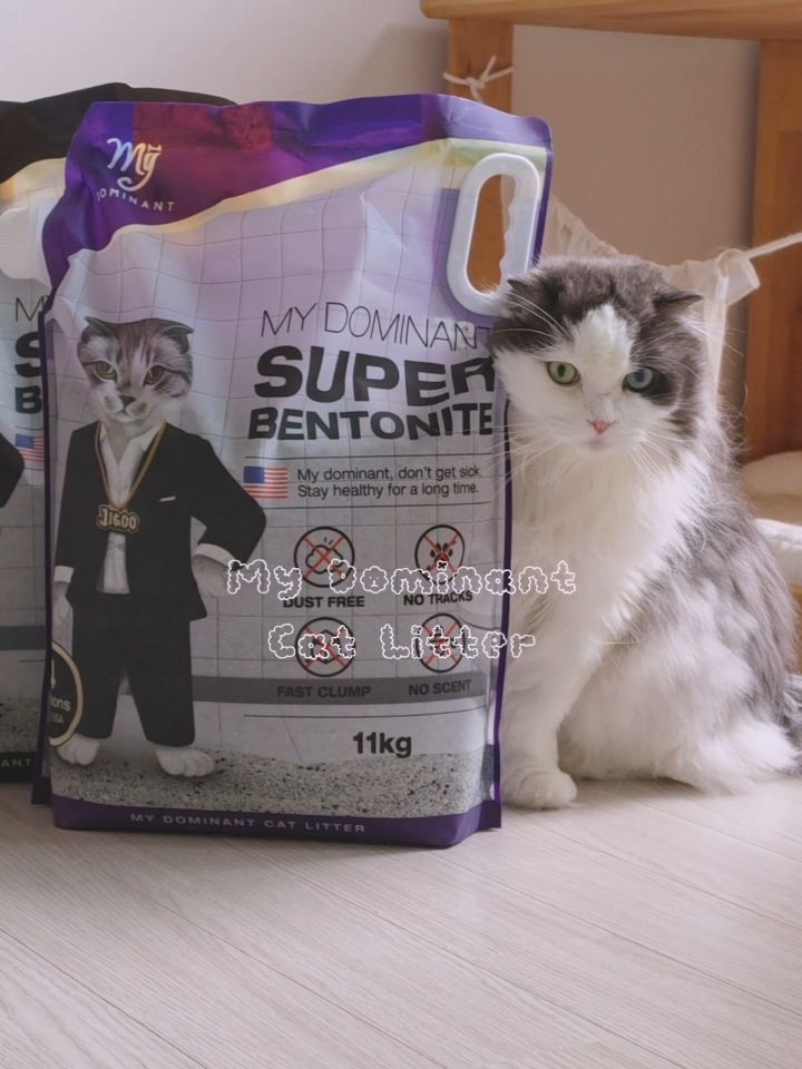 @sunny_n_cats이 올린 마이도미넌트 고양이모래 태그 게시물