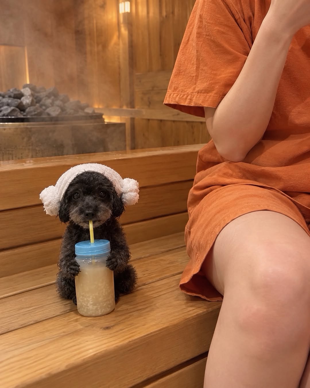 @hodu_jo이 올린 닥터독 Dr.DOG 태그 게시물