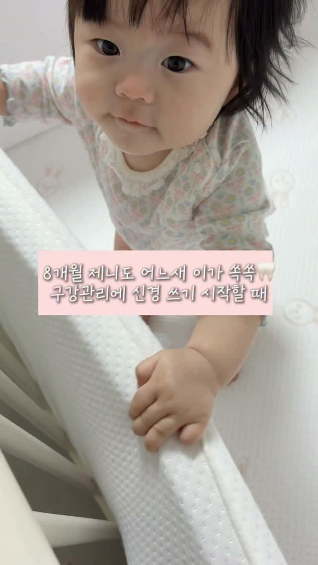 @_iamkk0mi이 올린 리틀펄리 태그 게시물