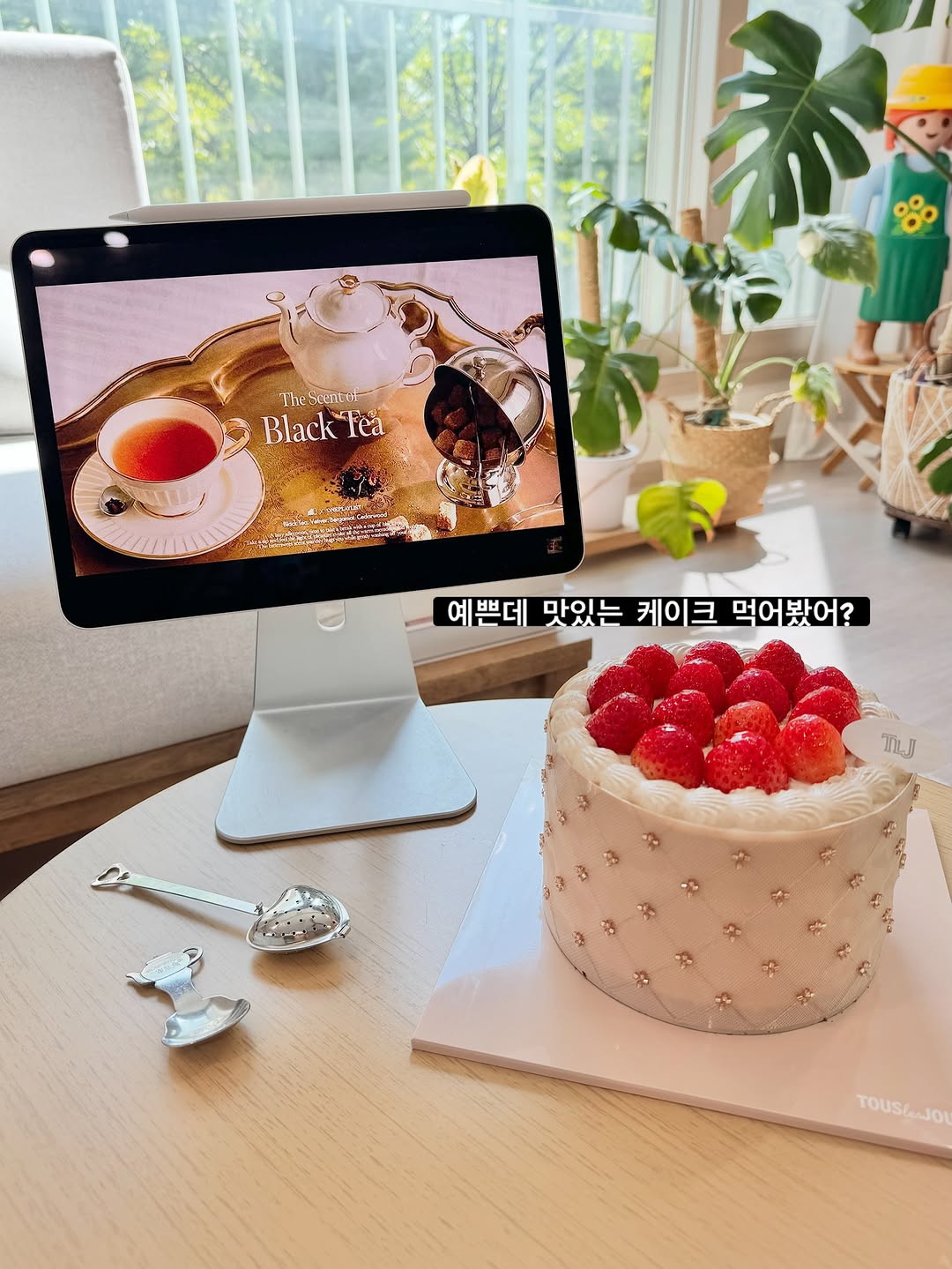 @hong._.plants이 올린 뚜레쥬르 태그 게시물