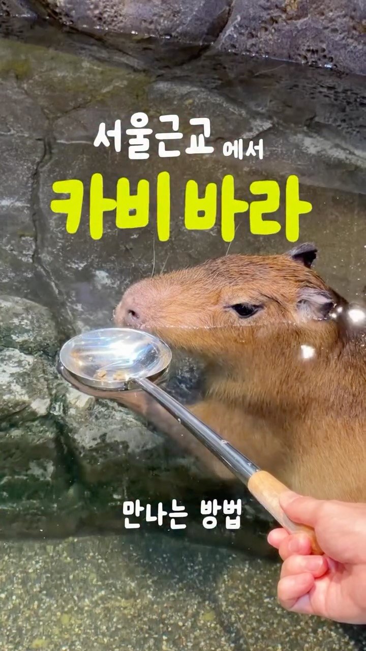 @dailymelly_이 올린 NOL 태그 게시물