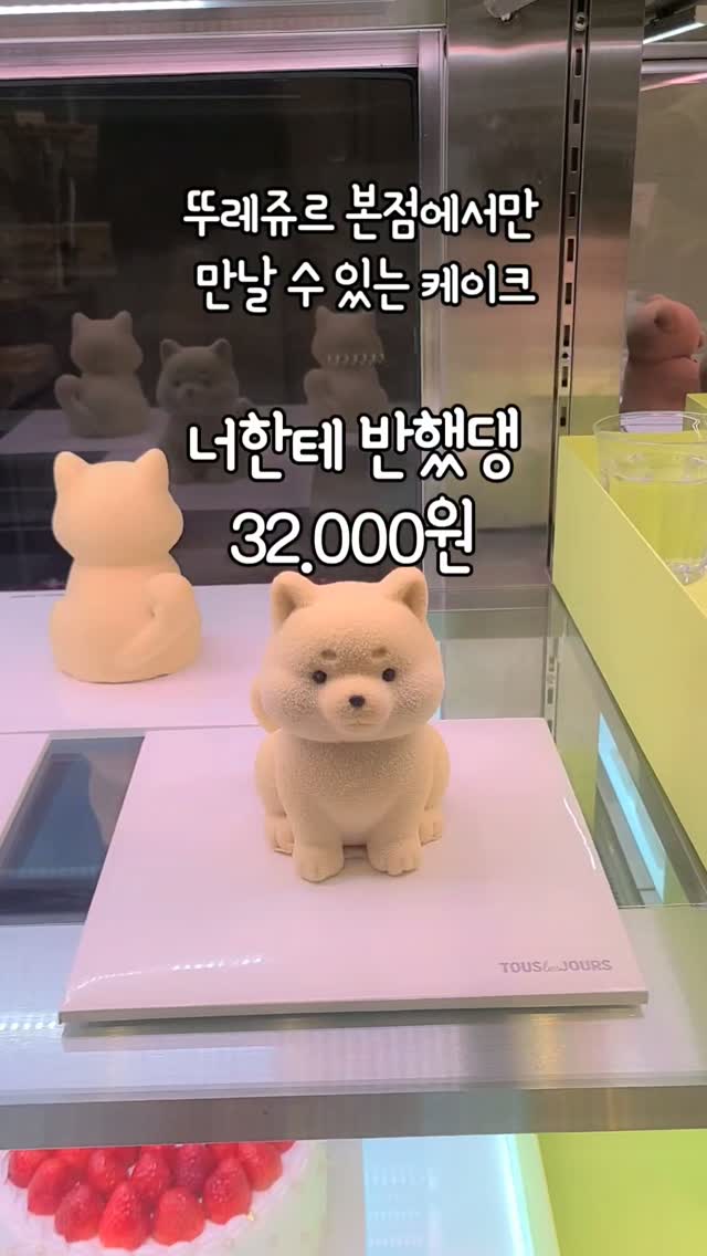 @maly700이 올린 뚜레쥬르 태그 게시물