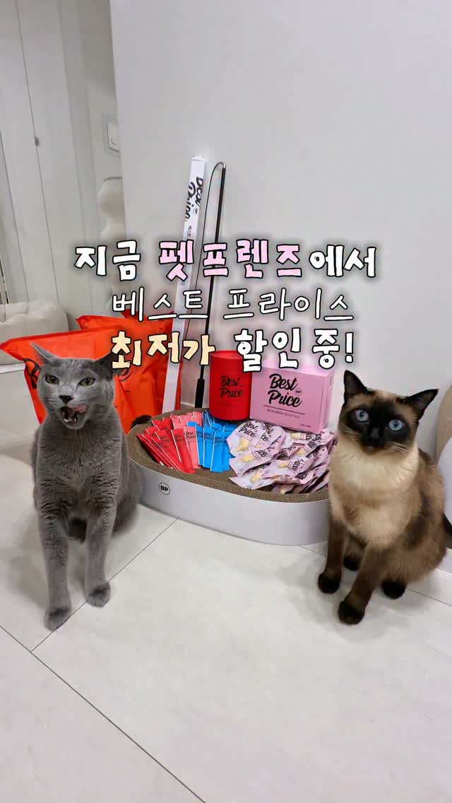 @__zezeeez이 올린 펫프렌즈 태그 게시물