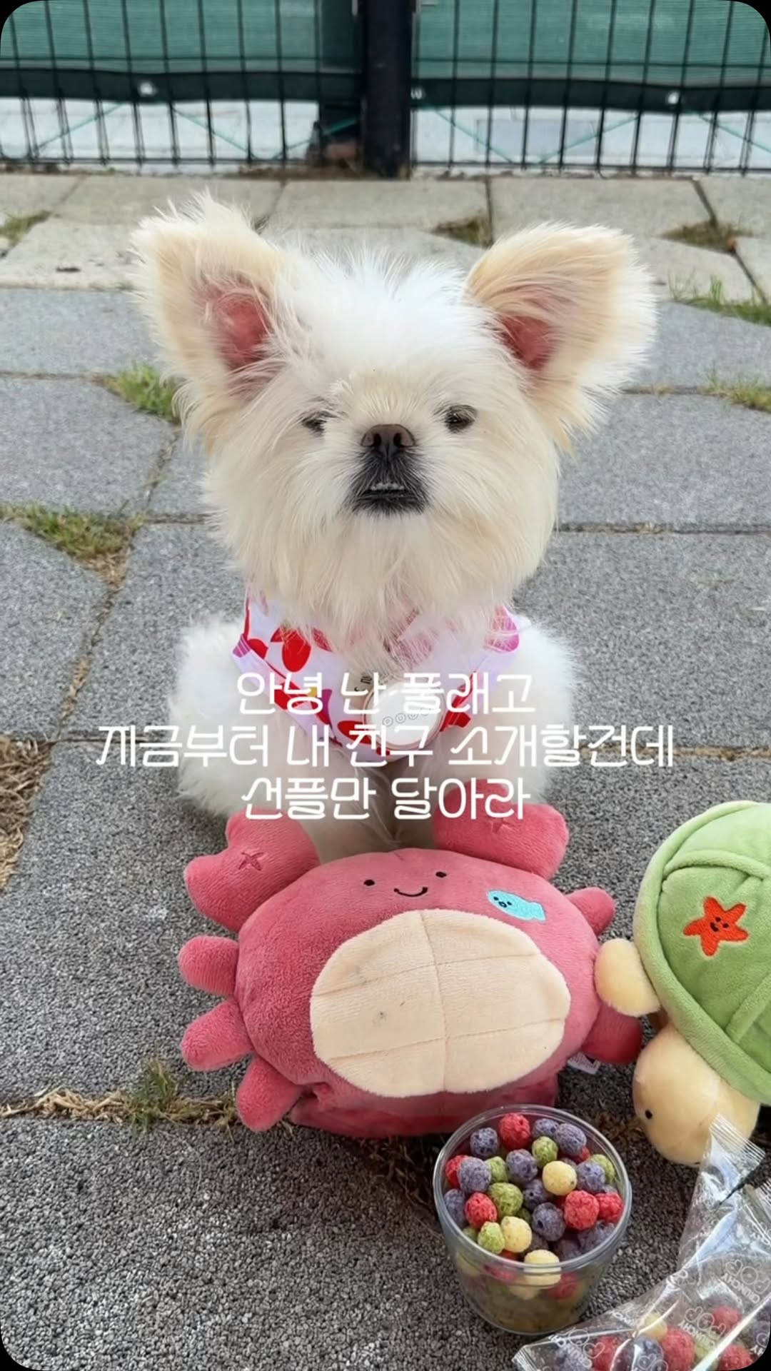@super_pullae이 올린 바잇미 태그 게시물