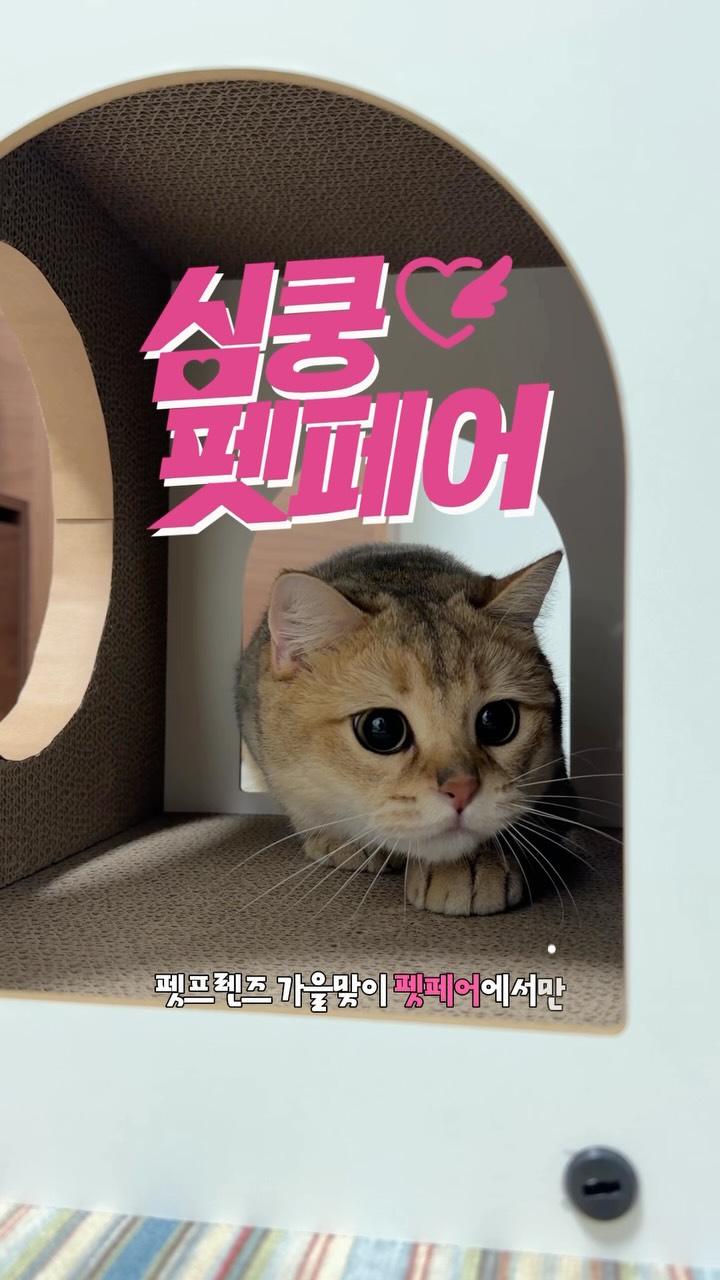 @_parkmandoo이 올린 펫프렌즈 태그 게시물