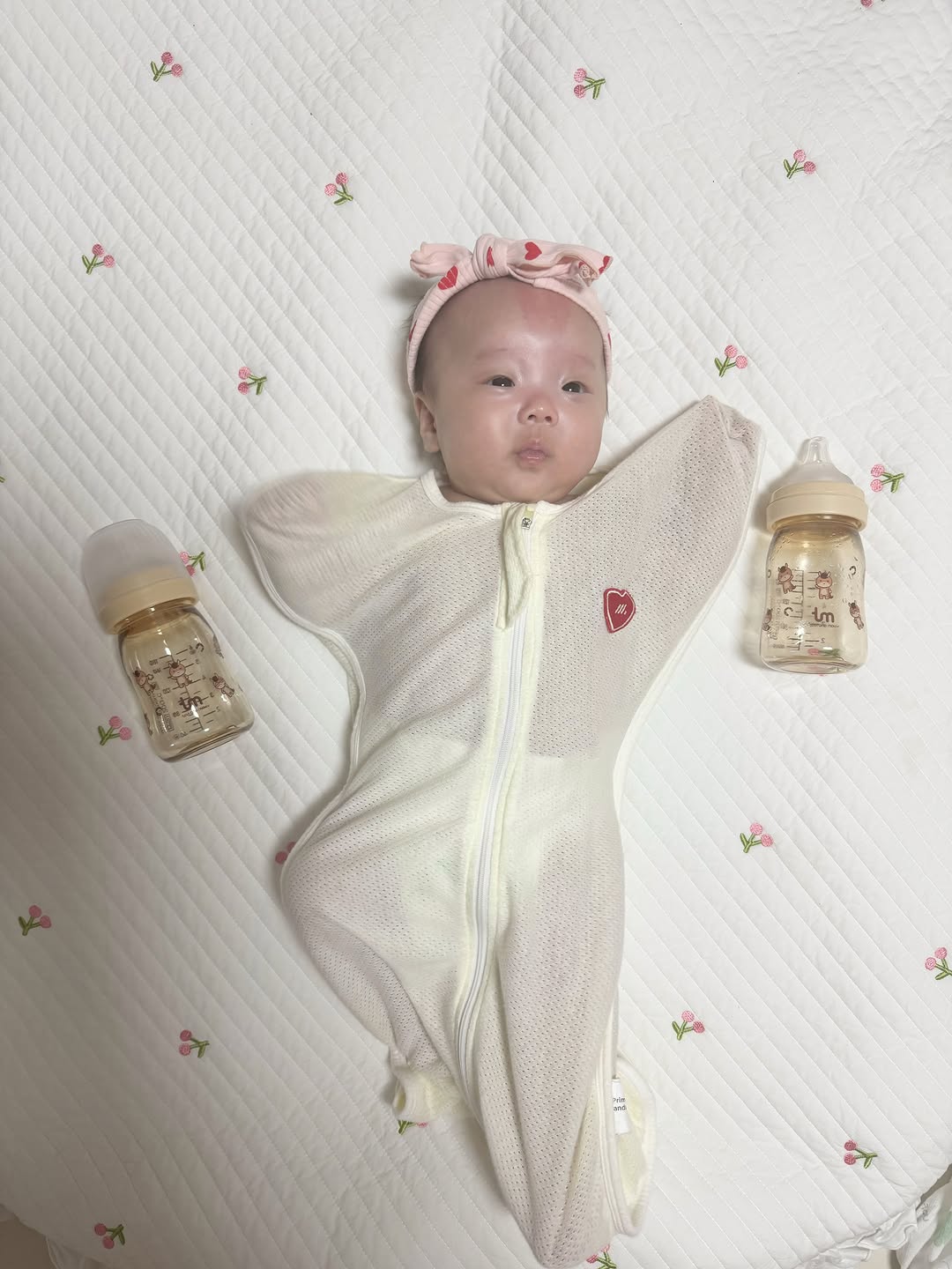 @my_h.gyeol이 올린 토비앤몰리 태그 게시물