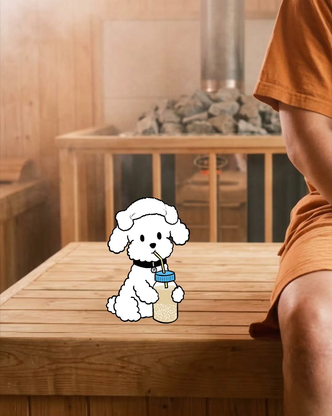 @design_poppy이 올린 닥터독 Dr.DOG 태그 게시물