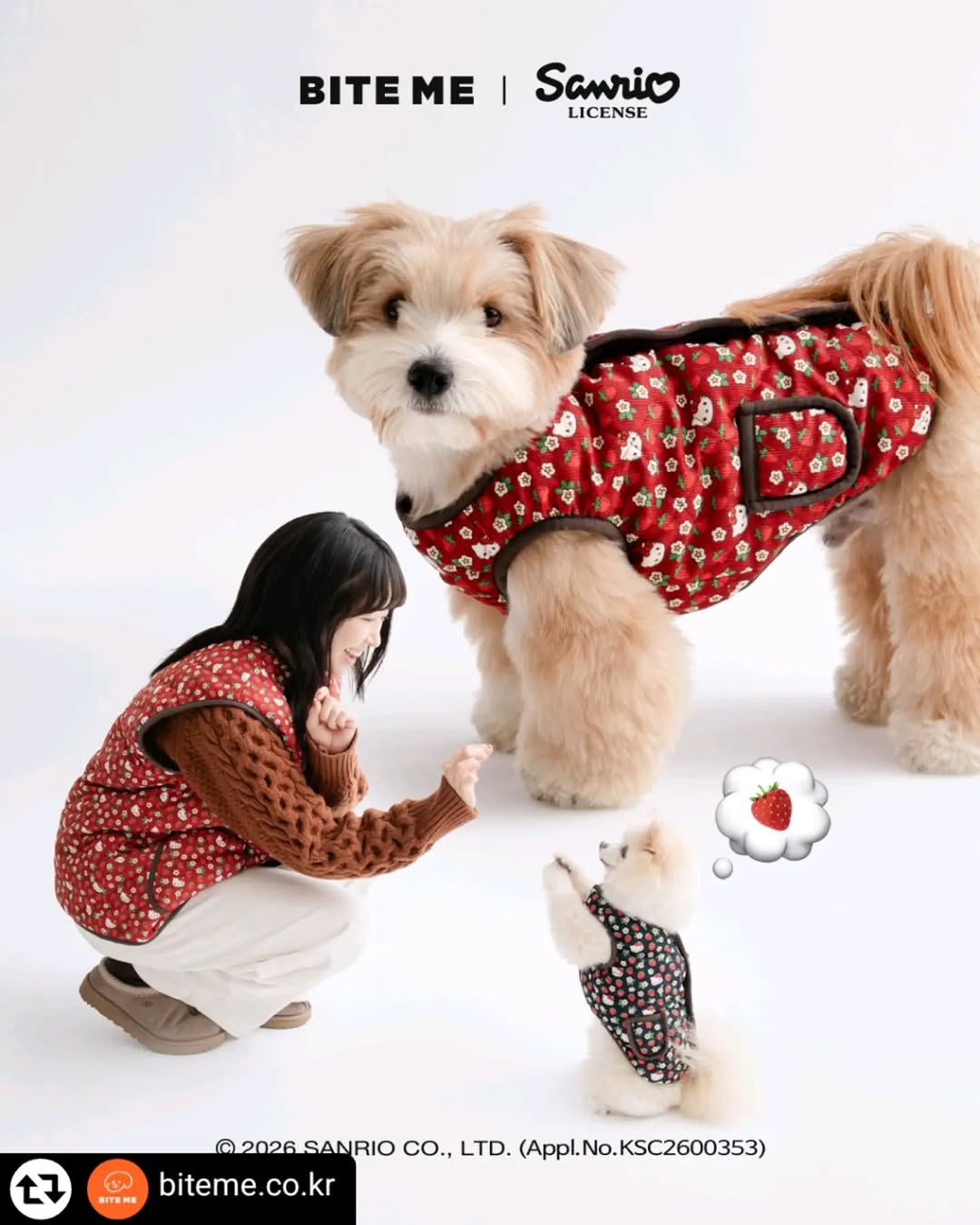 @kkae_chami이 올린 바잇미 태그 게시물